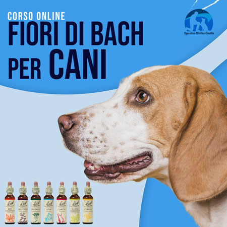 Corso online FIORI DI BACH PER CANI Corso online FIORI DI BACH PER CANI