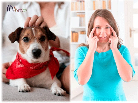 corso EFT PERSONE ANIMALI corso EFT PERSONE ANIMALI