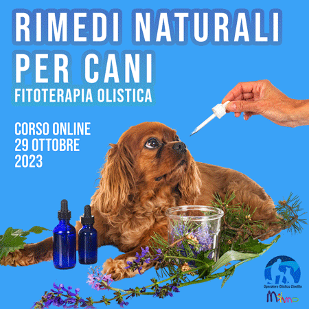 Rimedi Naturali per Animali Rimedi Naturali per Animali